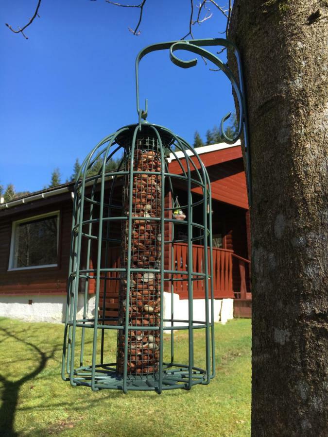Stravaigin Lodge Dunoon Buitenkant foto